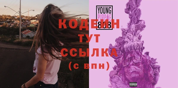 меф Гусь-Хрустальный
