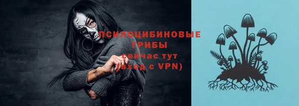 дживик Гусиноозёрск
