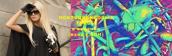 дживик Гусиноозёрск