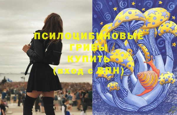 меф Гусь-Хрустальный